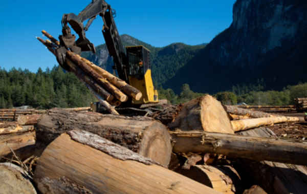 中国整木网 中国整木网