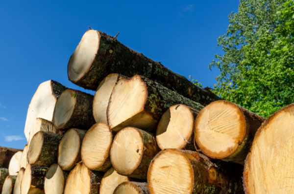 中国整木网 中国整木网