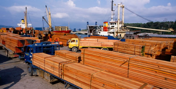 中国整木网 中国整木网