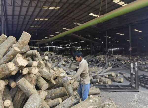 中国整木网 中国整木网