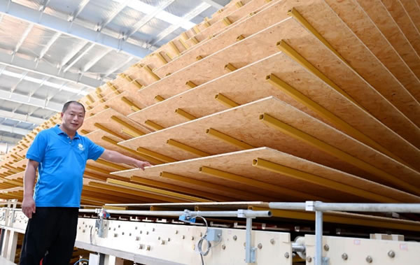 中国整木网 中国整木网