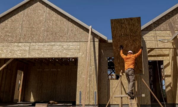 中国整木网 中国整木网