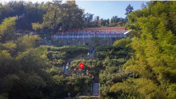 中国整木网 中国整木网