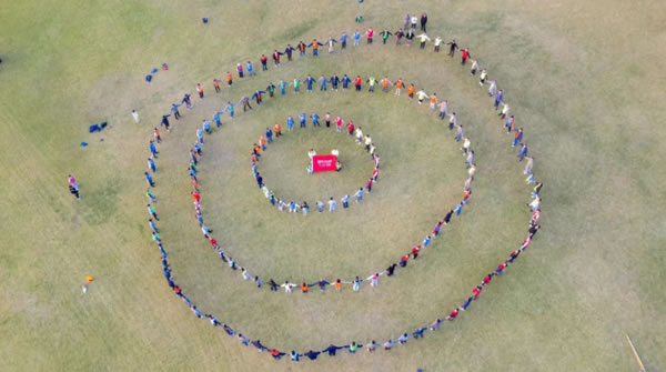 中国整木网 中国整木网