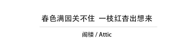 中国整木网 中国整木网