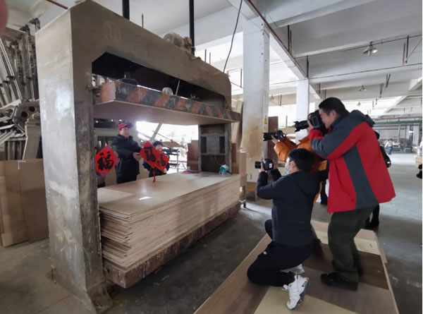 中国整木网 中国整木网